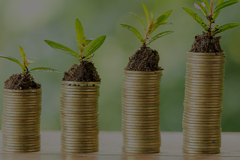 Groene lening bedrijf